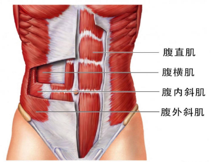 腹直肌分離，它附近的肌肉是什么？