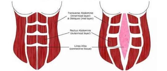 熱門話題之產(chǎn)后腹直肌分離如何康復(fù)，腹直肌修復(fù)儀器功不可沒