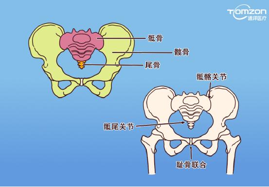 盆底肌康復(fù)儀能不能呵護(hù)健康？