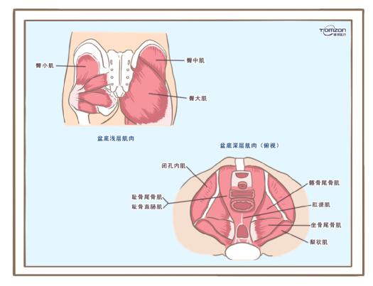 盆底康復治療儀可以緩解絕經(jīng)后出現(xiàn)的癥狀嗎？