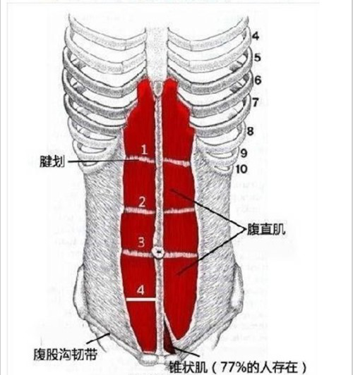 產(chǎn)后康復治療