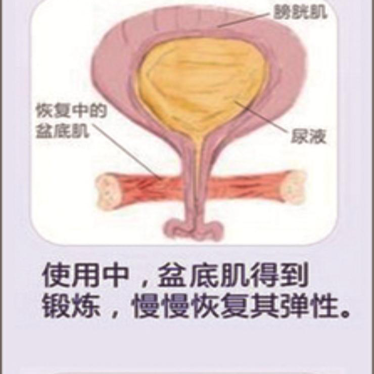 盆底肌康復治療