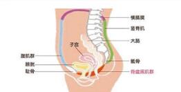 產(chǎn)后康復治療