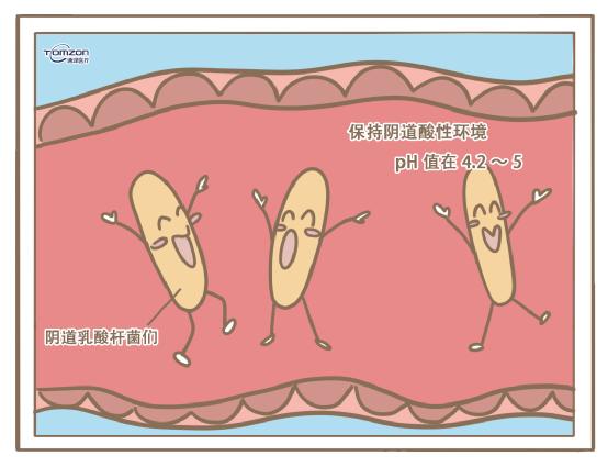 盆底康復治療儀.jpg