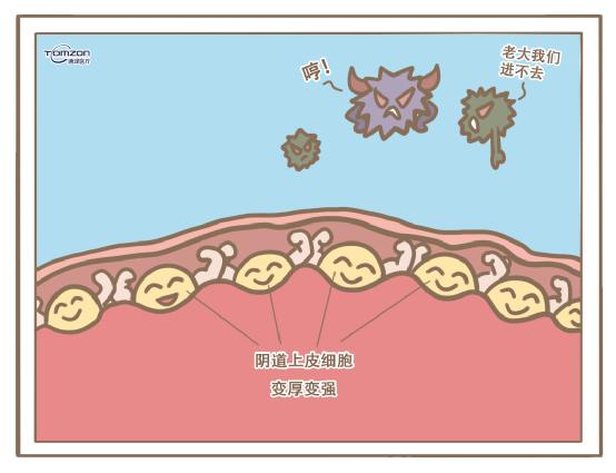 盆底康復治療儀.jpg