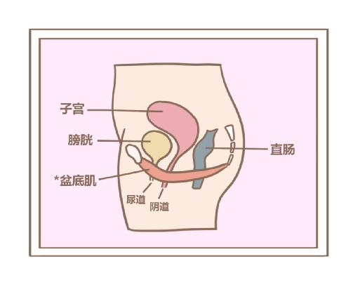 盆底肌修復儀器.jpg