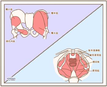 盆底康復儀器