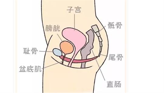 通澤便攜產(chǎn)后康復(fù)治療儀，促進(jìn)產(chǎn)后快速恢復(fù)