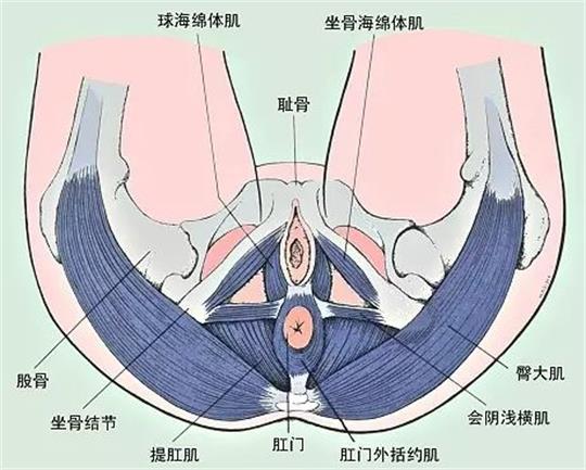 產(chǎn)康門店創(chuàng)業(yè)，開展什么產(chǎn)康項目合適呢？