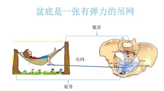 女性盆底康復(fù)要及時，否則抱憾終身，婦科盆底康復(fù)治療儀幫到您