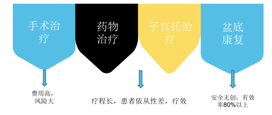 產后盆底肌功能康復治療儀廠家，提供專業(yè)產后康復方案