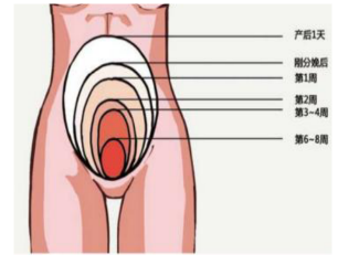 產(chǎn)康知識，那些絕對不能錯過的產(chǎn)康項目